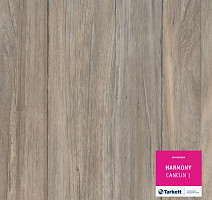 Линолеум Tarkett Harmony CANCUN 1 фото 1 | FLOORDEALER